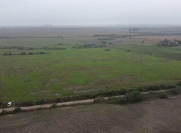Campo · 210000m² · Campo en Victoria