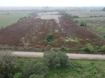 Campo · 100000m² · Campo en Victoria