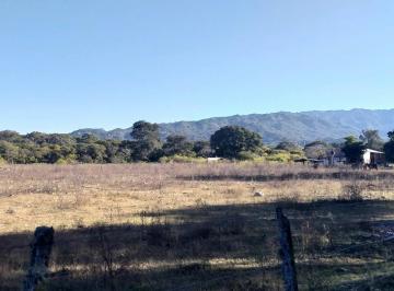 Campo · 400000m² · Venta - 40 Has Multiproposito