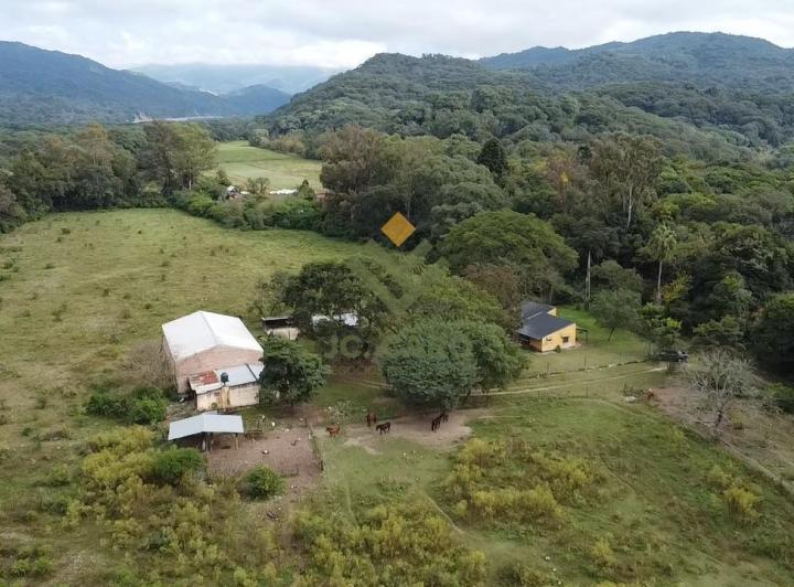 Campo · 400000ha