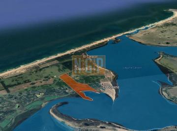 Foto1 · Venta de Campo Estrella de Mar en Rocha