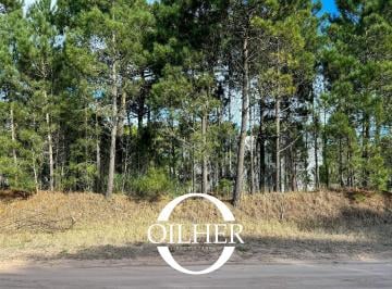 Terreno , Pinamar · Terreno en Venta! Ubicado en Barrio Alamos! Planos y Proyecto Aprobado!