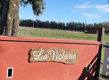 Campo de 5 ambientes, Zárate · Magnífica Casa de Campo, Piscina, Casa de Huéspedes. 10ha, 7ha Para Cultivo