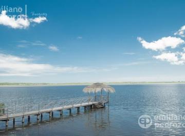 Campo · 1055m² · 15 Ambientes · 4 Cocheras · Chacra - Otras