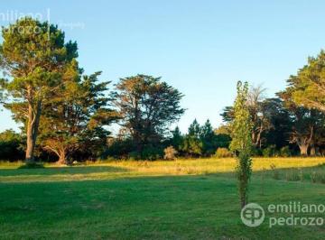 Terreno · 2300m² · Terreno - Maldonado