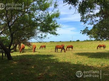 Campo · 50000m² · Venta Chacra Laguna del Sauce Ruta 12