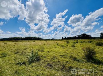 Campo · 60000m² · 5 Ambientes · Venta Chacra con Casa 4 Dorm. Camino a La Pataia
