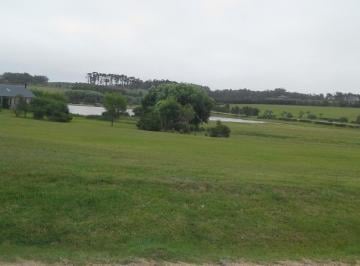 Campo · 5000m² · Manantiales Laguna Estates Lote en Venta Chacra 69 Tm 53684