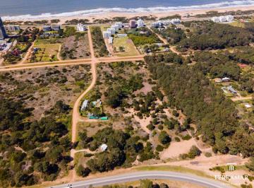 Terreno · 35000ha · Terreno Rincon del Indio - 35000 m²