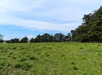 Campo · 170000m² · Chacra Teresa