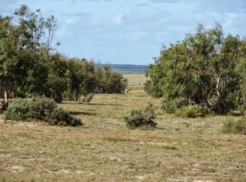 Campo · 55212m² · Sobre Ruta 10