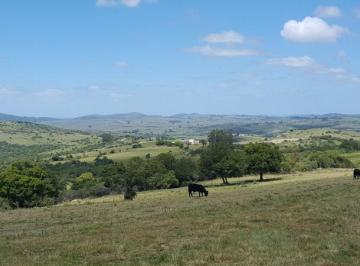 Campo · 2700000m² · Sierra de Carapé 270ha con Excelente Casco Histórico