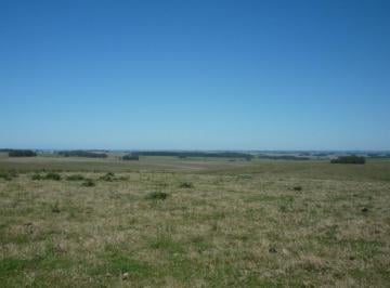 Campo · 2300000m² · La Pedrera 230