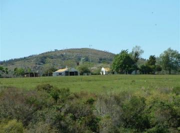 Campo · 7400000m² · Rocha 740ha Estancia Forestal Ganadera Completa