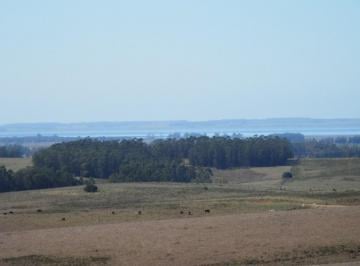 Campo · 8800000m² · Garzon Estancia Unica 880ha a Minutos del Pueblo