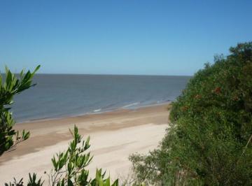 Campo · 1100000m² · Colonia 110has con Costa