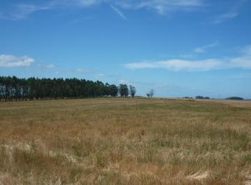 Campo · 1420000m² · Las Garzas 142