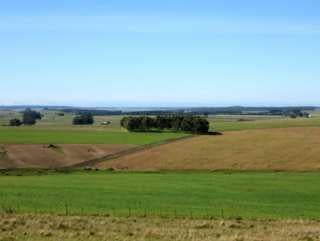 Campo · Campo - Manantiales