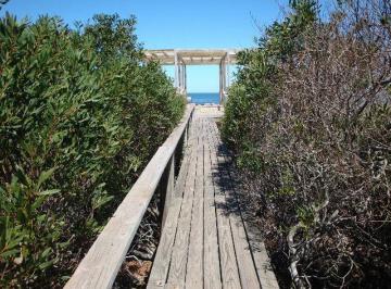 PUNTA BALLENA VENTA Y ALQUILER CHACRA MONTE INDIO CAMINO MAR · Punta Ballena Venta y Alquiler Chacra Monte Indio