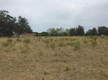 Campo · 125018m² · La Barra Venta Chacra Frente a Narbona - Tm