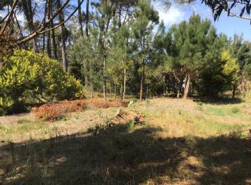 Terreno · 1062m² · La Barra Venta Terreno Solar 5 Padron 17.735 - Tm