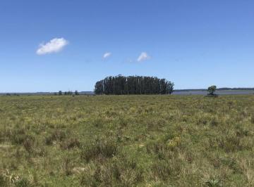 Campo · 260000m² · Chacra - Chacras de José Ignacio