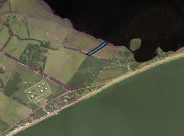 Campo · 50m² · Chacra - Chacras de José Ignacio