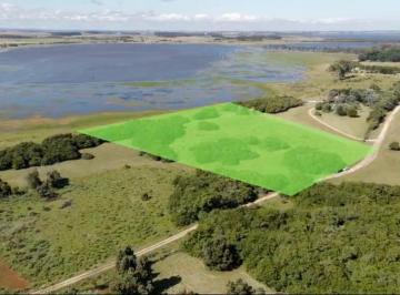 Campo · 77000m² · Chacra - José Ignacio