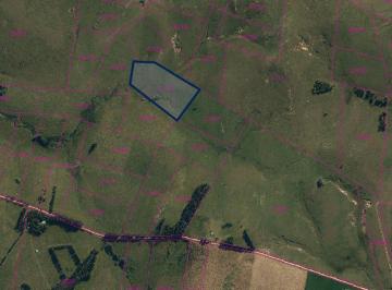 Campo · 59186m² · Chacra - Manantiales