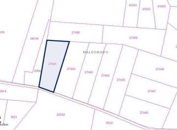 Campo · 50622m² · Chacra - Manantiales