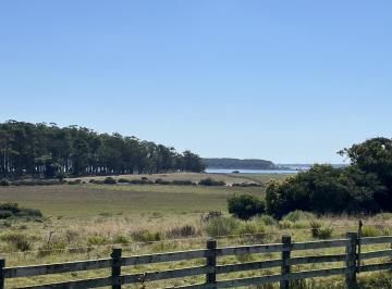 Campo · 54000m² · Chacra - Chacras de José Ignacio