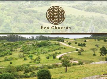 Campo · 50000m² · Chacra - Chacras de José Ignacio