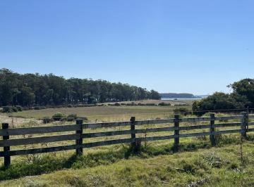 Campo · 53000m² · Chacra 5.3 Ha - La Rinconada Tm