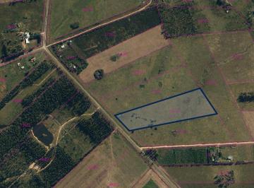Campo · 54000m² · Manantiales Padron 27346