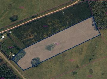 Campo · 50000m² · Manantiales Padron 27343