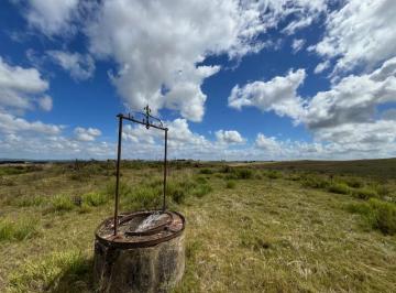 Campo · 460000m² · 46 Hectáreas a 15 Minutos de Manantiales