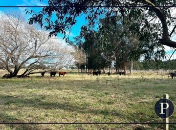 Campo · 387000m² · Campo 39 Ha en Mar Chiquita