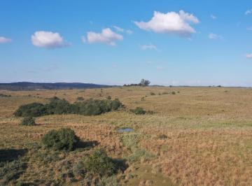 Campo , Uruguay · Campo en Garzon a 6 Km del Pueblo.