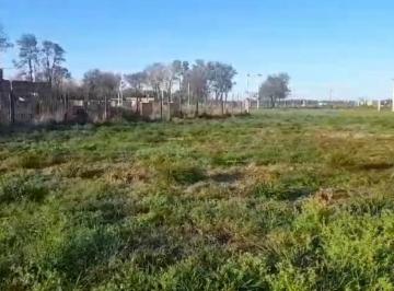 Terreno · 600m² · 2 Terrenos Contiguos en Venta! Margarita Belén