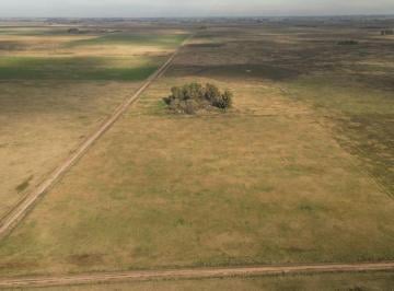 Campo · 40m² · Campo en Venta en Tuyuti, San Andres de Giles