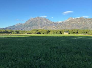 Campo · 40000m² · Chacra en El Hoyo.