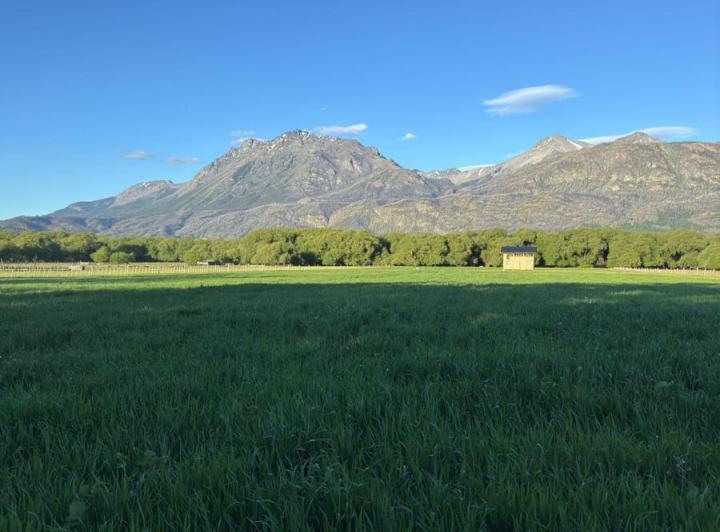 Campo · 40000m²