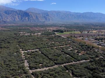 Campo · 770000m² · Campo de 77 Has en Venta