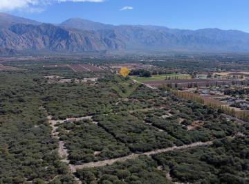Campo · 770000m² · Camopo en Venta en Cafayate con Ubicación Privilegiada