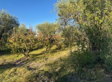 Campo · 20000m² · Finca en Venta en Barrancas