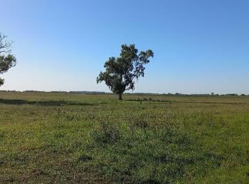 FAE-FAE-677_2 · Campo Mixto en Venta en Carlos Casares