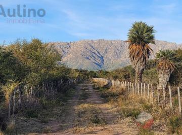 Campo · 1ha · Venta de Hectárea en Villa Larca San Luis