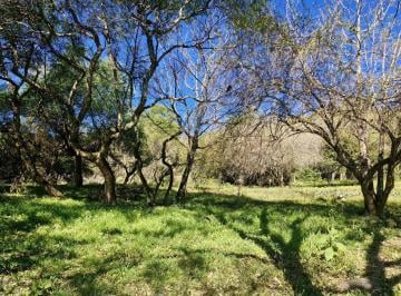 Terreno , Castellanos · Excelente Terreno La Hoyada de Castellanos