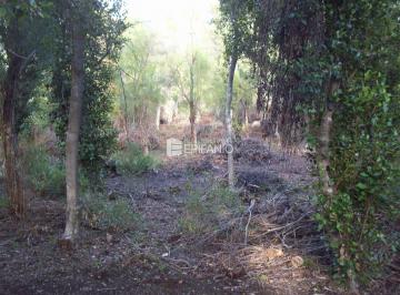 Campo · 80000m² · Venta - Reserva Natural en El Bolsón - R019