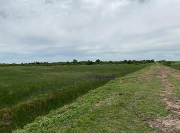 Campo · 50000m² · Campo en Zagarzazu